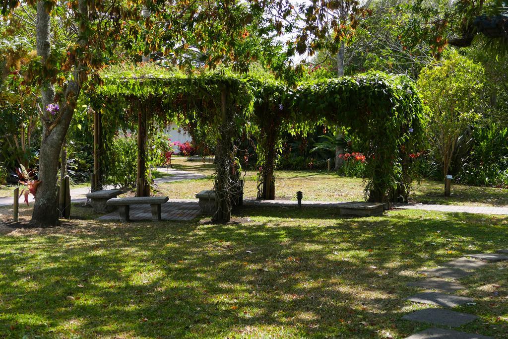 Hotel Bougainvillea San Jose Santo Domingo De Heredia Екстериор снимка
