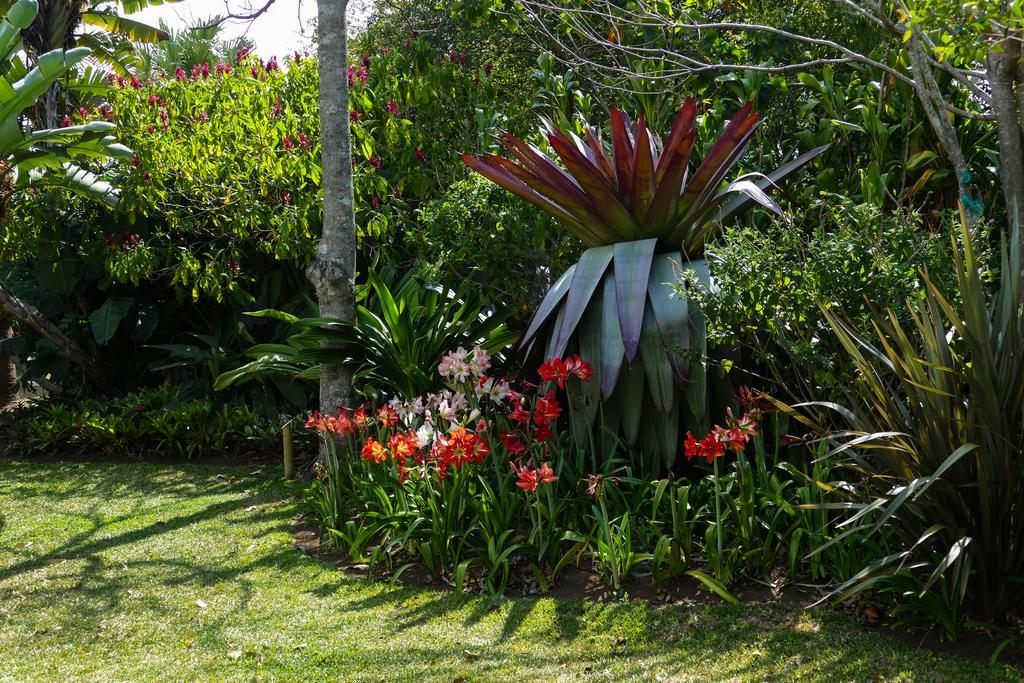 Hotel Bougainvillea San Jose Santo Domingo De Heredia Екстериор снимка